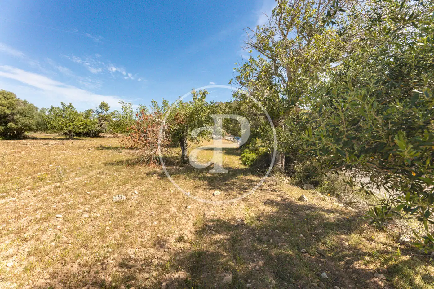 Residencial en venta en Felanitx