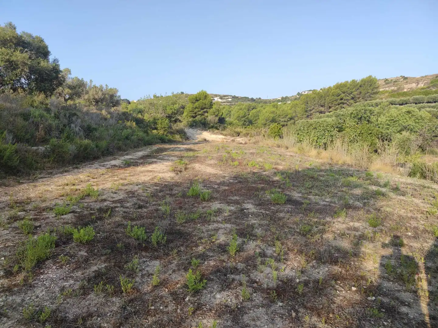 Terreny residencial en venda a Teulada, imagen 14