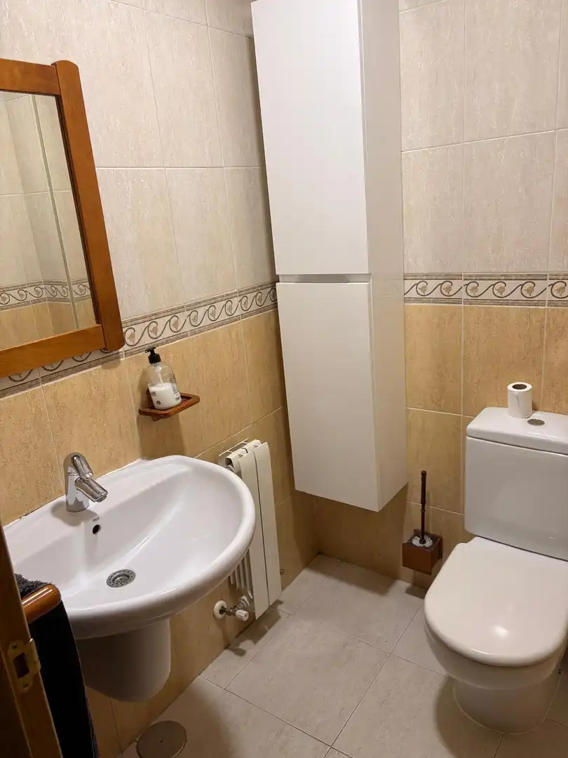 Bathroom of Detached homes for sale in Villa del Prado  with Heating, Private garden and Storage room