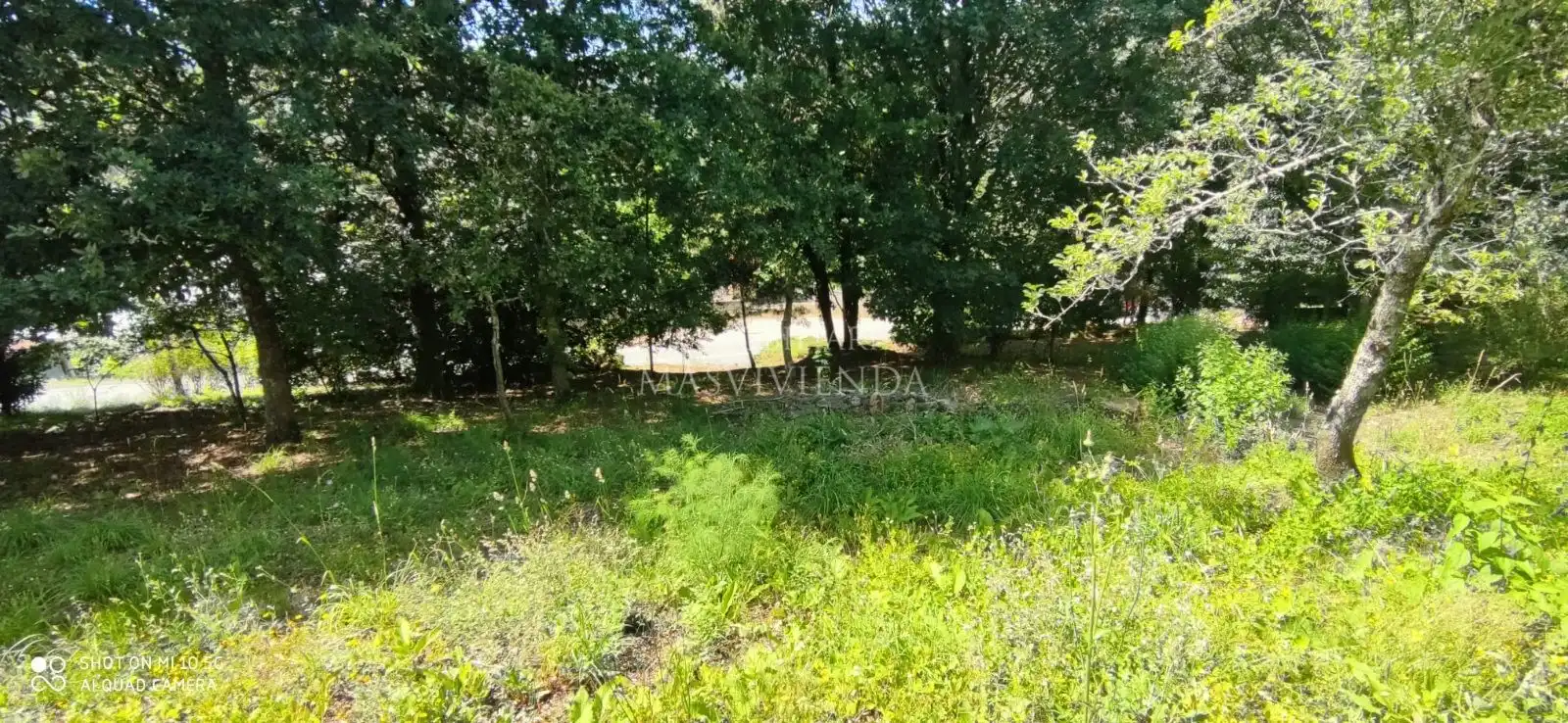 Casa con jardín en venta en Del Val, imagen 41