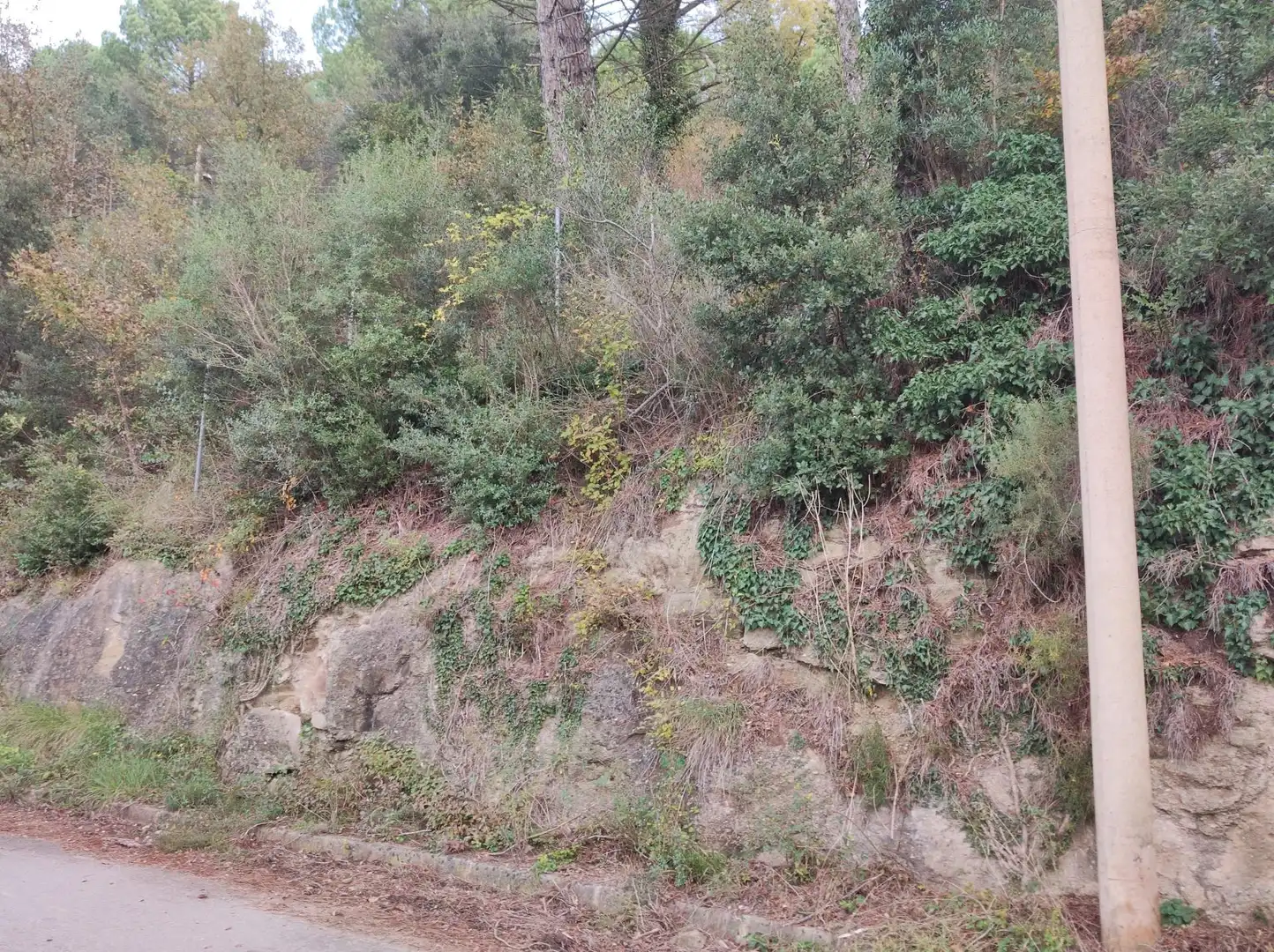 Terrain rustique à vendre à Monistrol de Calders, imagen 30
