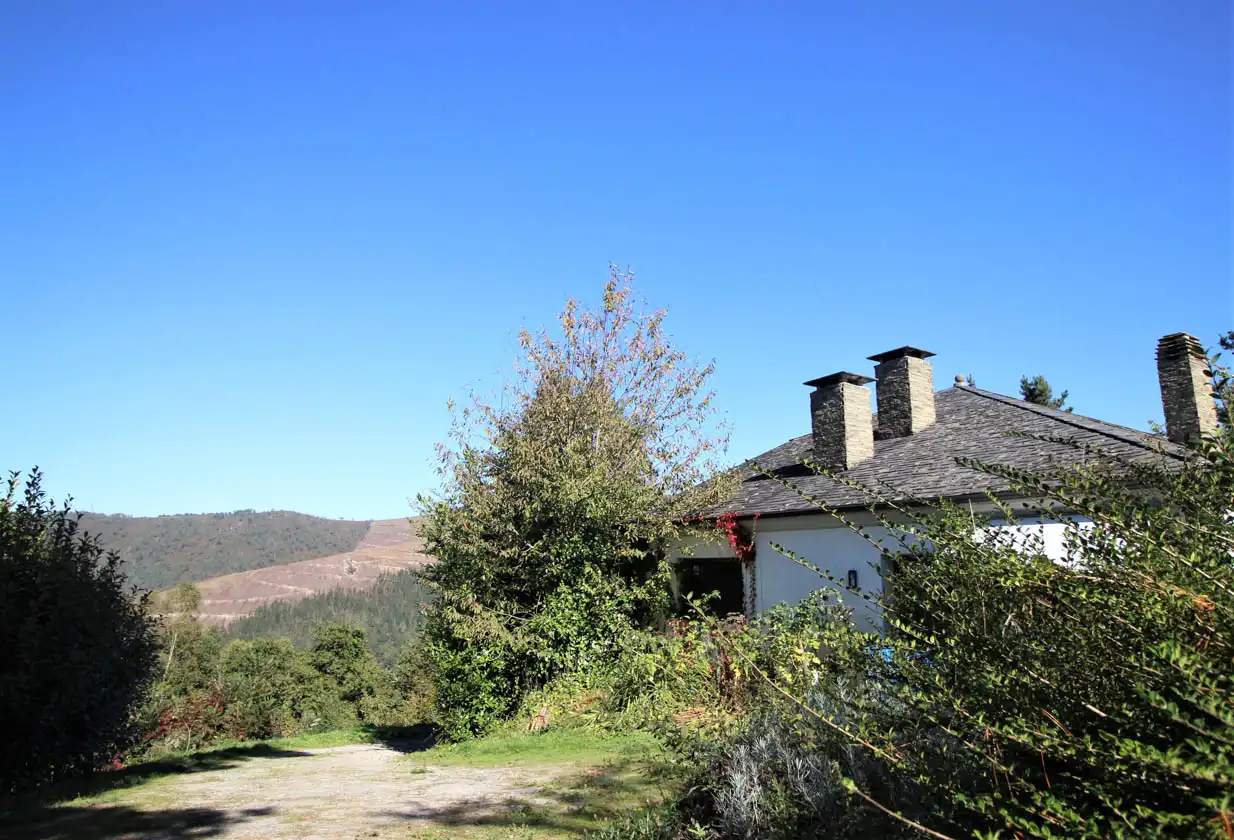 Vista exterior de Casa o chalet en venta en A Pontenova   con Jardín privado