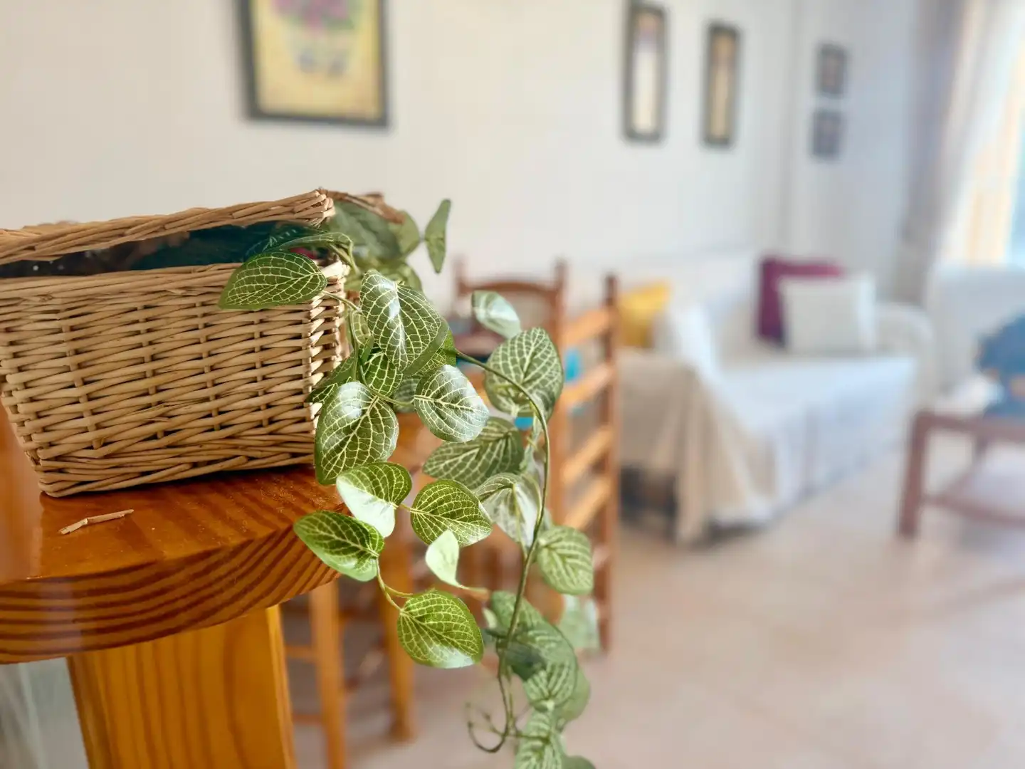 Terraza de Casa o chalet en venta en Torrevieja con Jardín privado, Amueblado y Piscina comunitaria