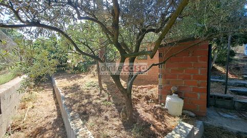 parcela con  gua, caseta, vallado, arboles frutales , barbacoa., imatge 3