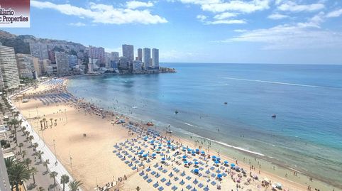 Photo 4 of Study for sale in Avenida Madrid, Playa Levante, Benidorm