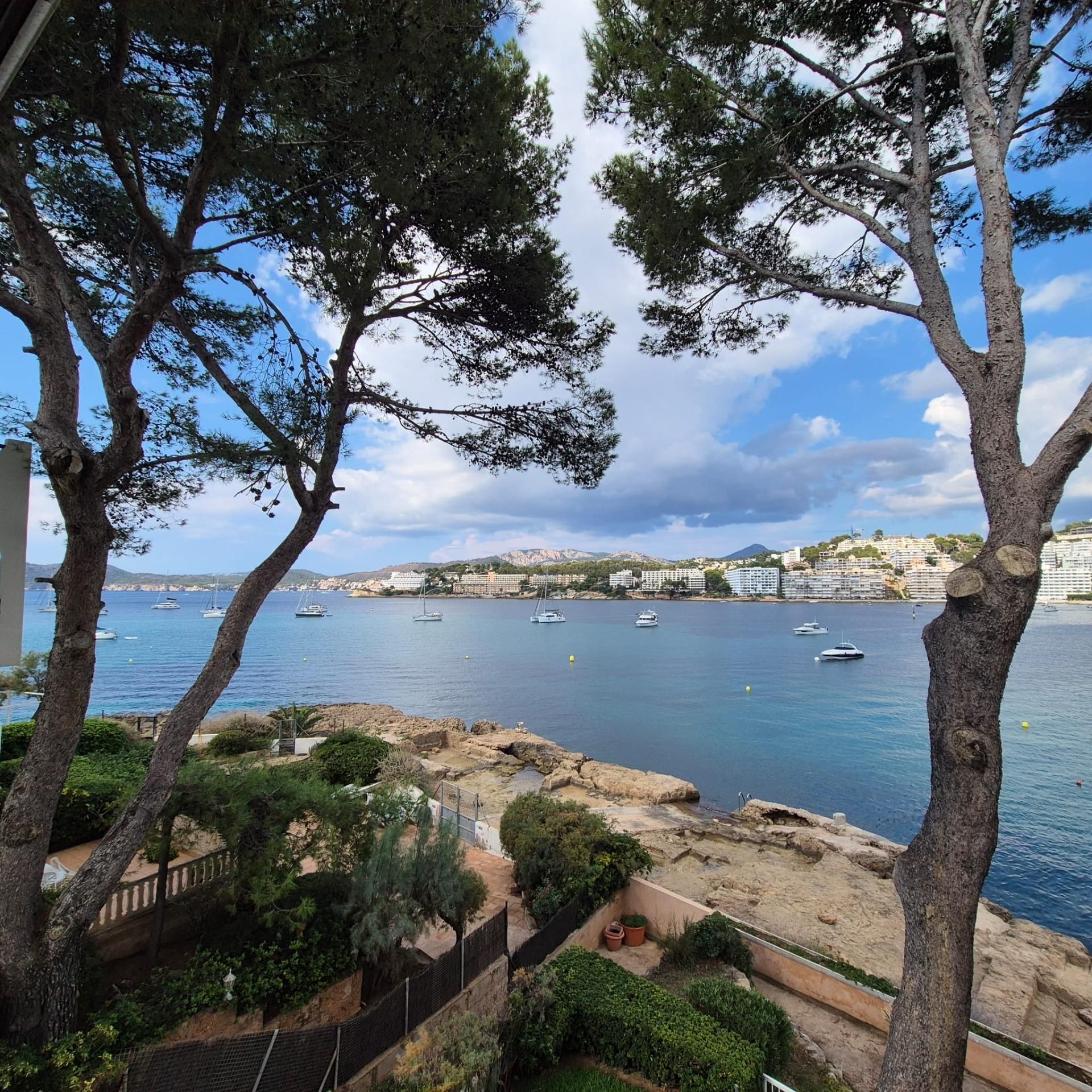 Exterior view of Flat for rent in Calvià  with Parquet flooring and Terrace