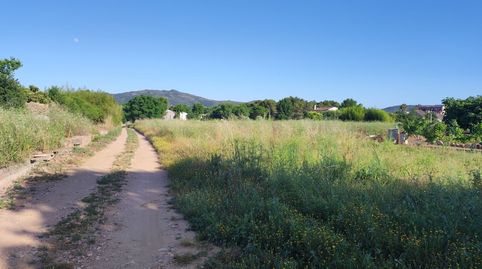 Finca Rúst. en venta en Ulldecona.