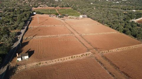 Photo 5 of House or chalet for sale in Partida Mola Cartagena Parc , 362, Nord, Tarragona