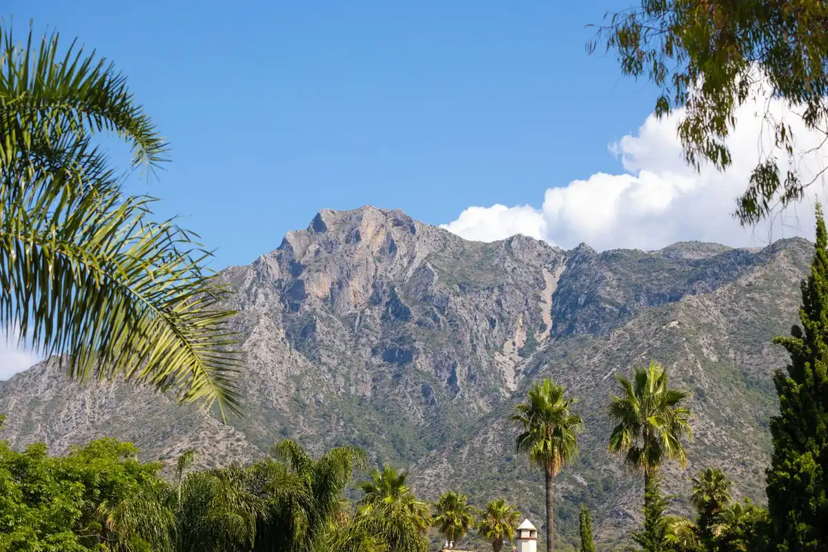 Villa con piscina in vendita a Marbella Centro, imagen 14