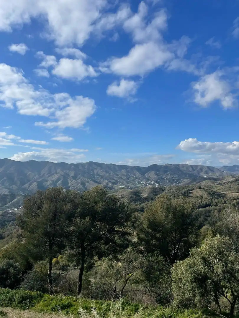 Außenansicht von Geschaftsraum zum Verkauf in Málaga mit Terrasse