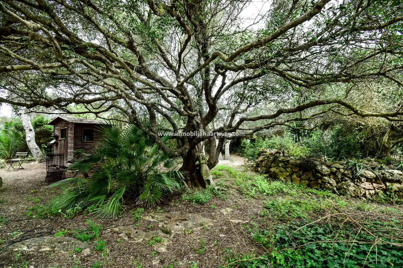 Wohnbaugrundstück zum Verkauf in Cala en Blanes