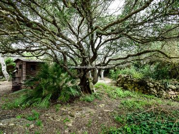 Wohnbaugrundstück zum Verkauf in Cala en Blanes