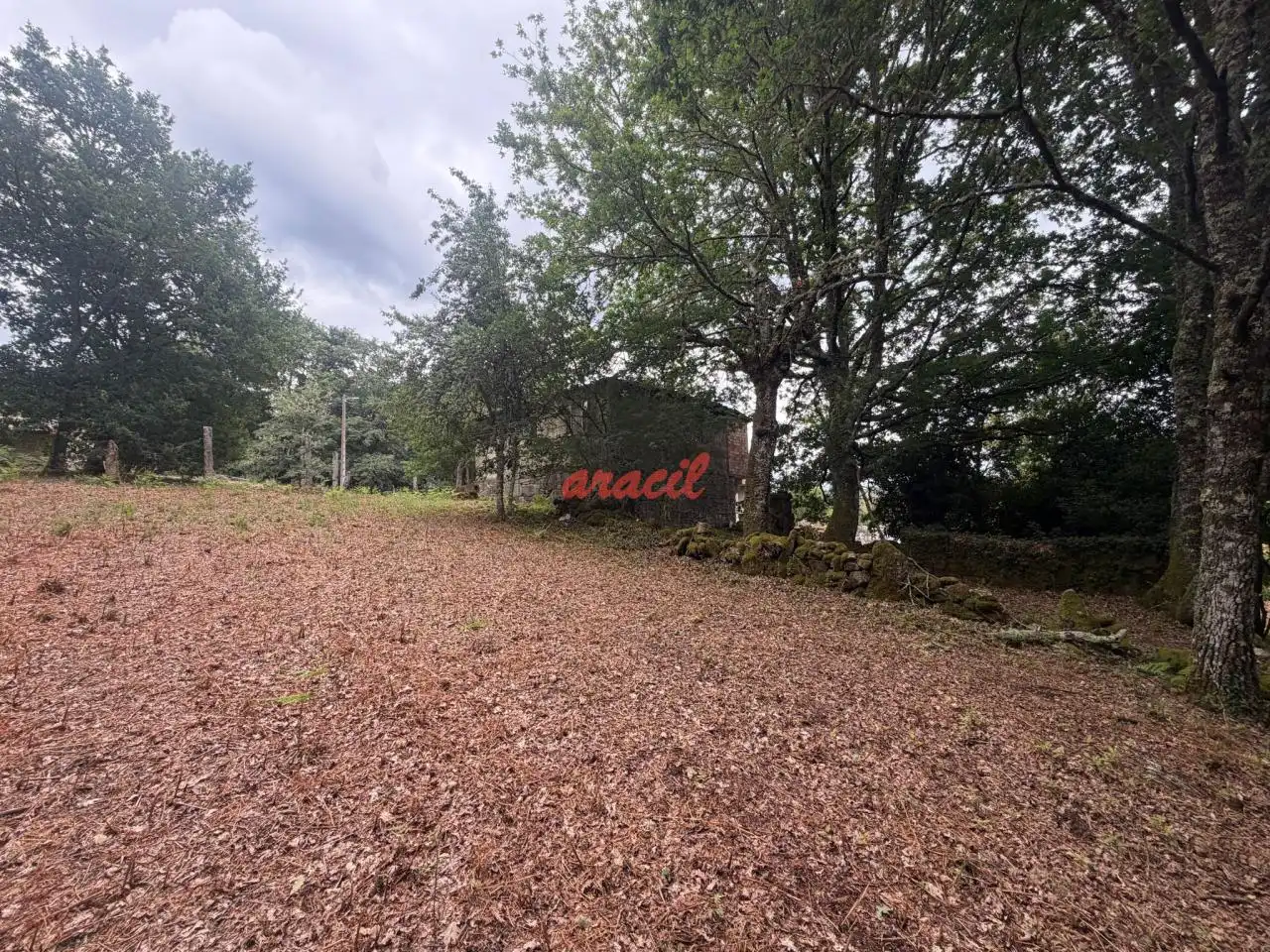 Finca rústica en venda en Amoeiro amb Calefacció, Jardí privat i Balcó