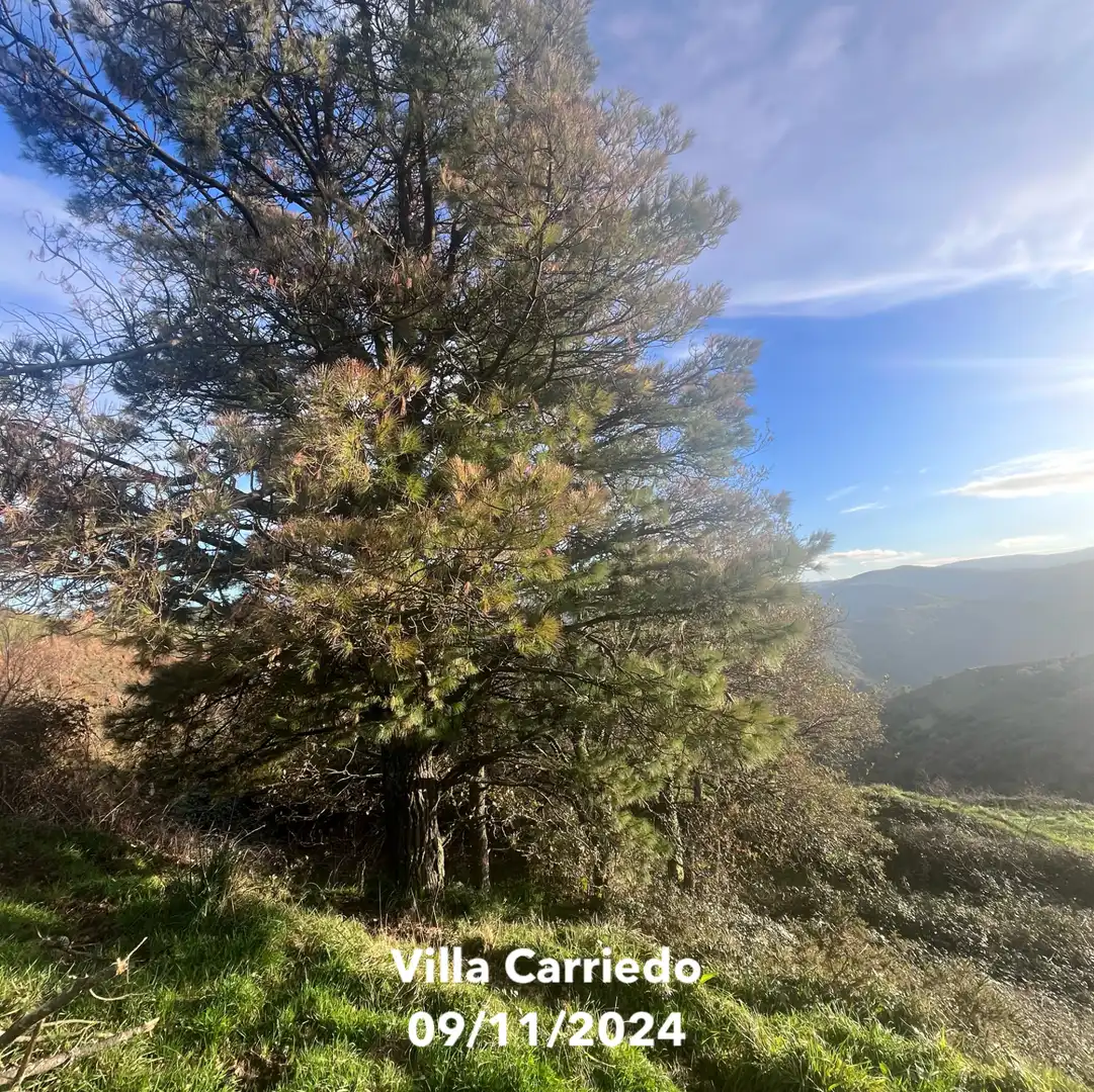 Vista exterior de Finca rústica en venta en Villacarriedo con Jardín privado