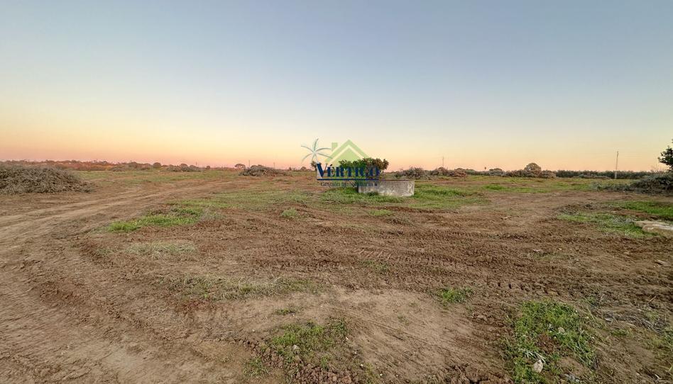 Foto 1 de Finca rústica en venda a Huerta de la Marquesa, 3, Oromana, Sevilla