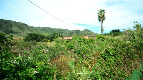 Foto 3 de Casa o chalet en venta en Tegueste - Calle Tejar, Tegueste, Santa Cruz de Tenerife