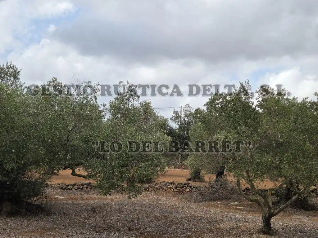 Terreno rústico en venta en Poligono 8, imagen 9