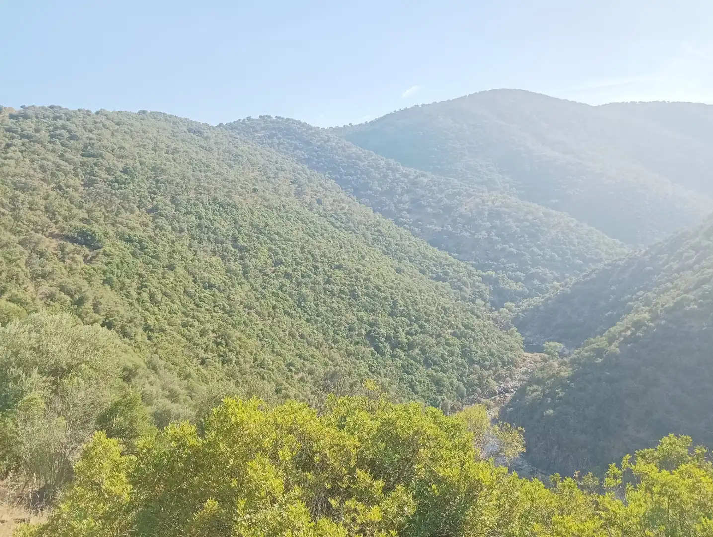 Exterior view of Land for sale in Córdoba