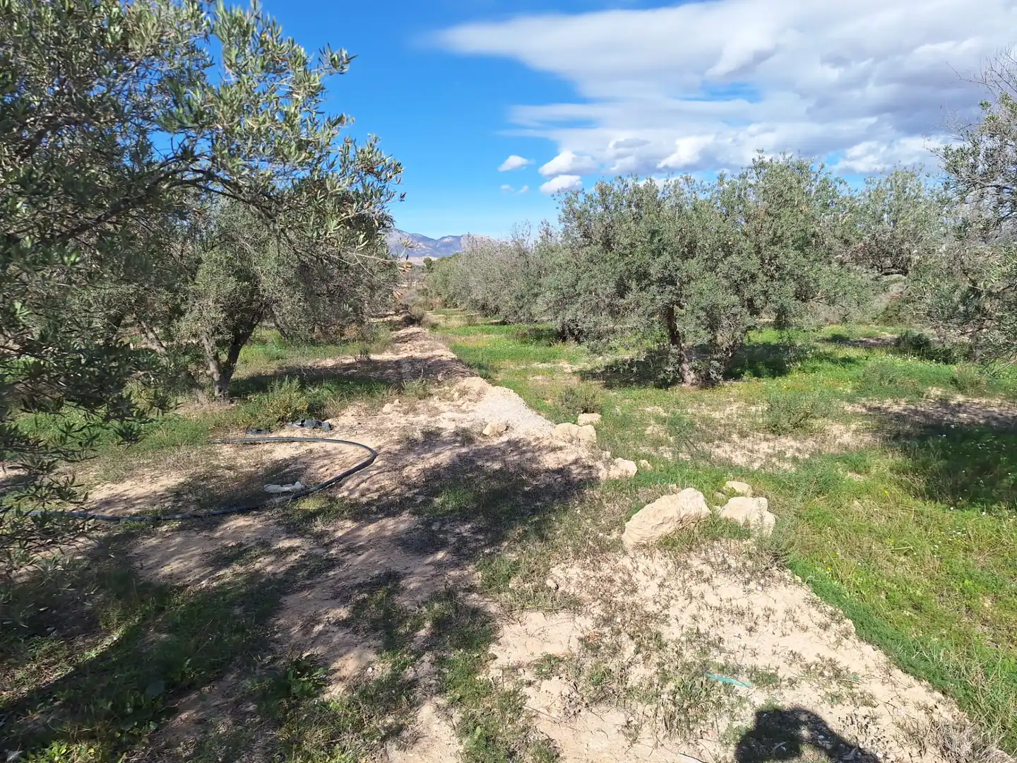Finca rústica en venta en Alicante / Alacant con Trastero