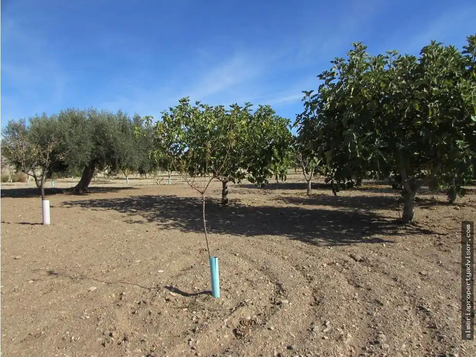 Country homes for sale in Antas