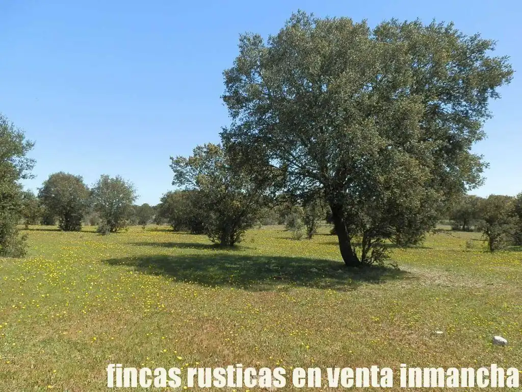 Terreno rustico in vendita a Ciudad Rodrigo, imagen 30
