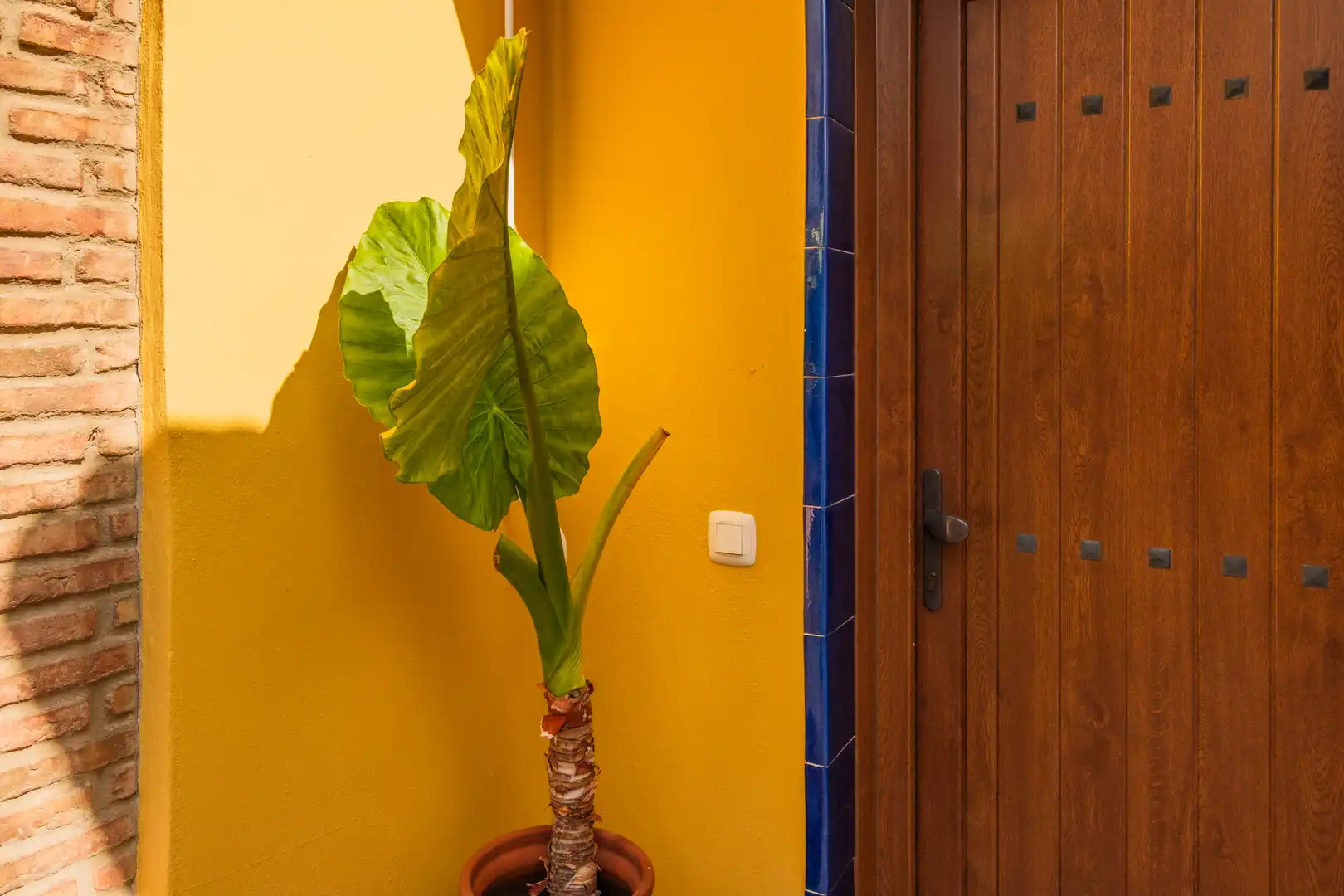 Maison jumelée avec piscine à vendre à Torre del Mar, imagen 20