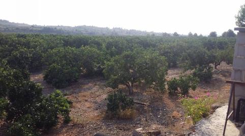 Photo 2 of Country house for sale in Montroi / Montroy, Valencia