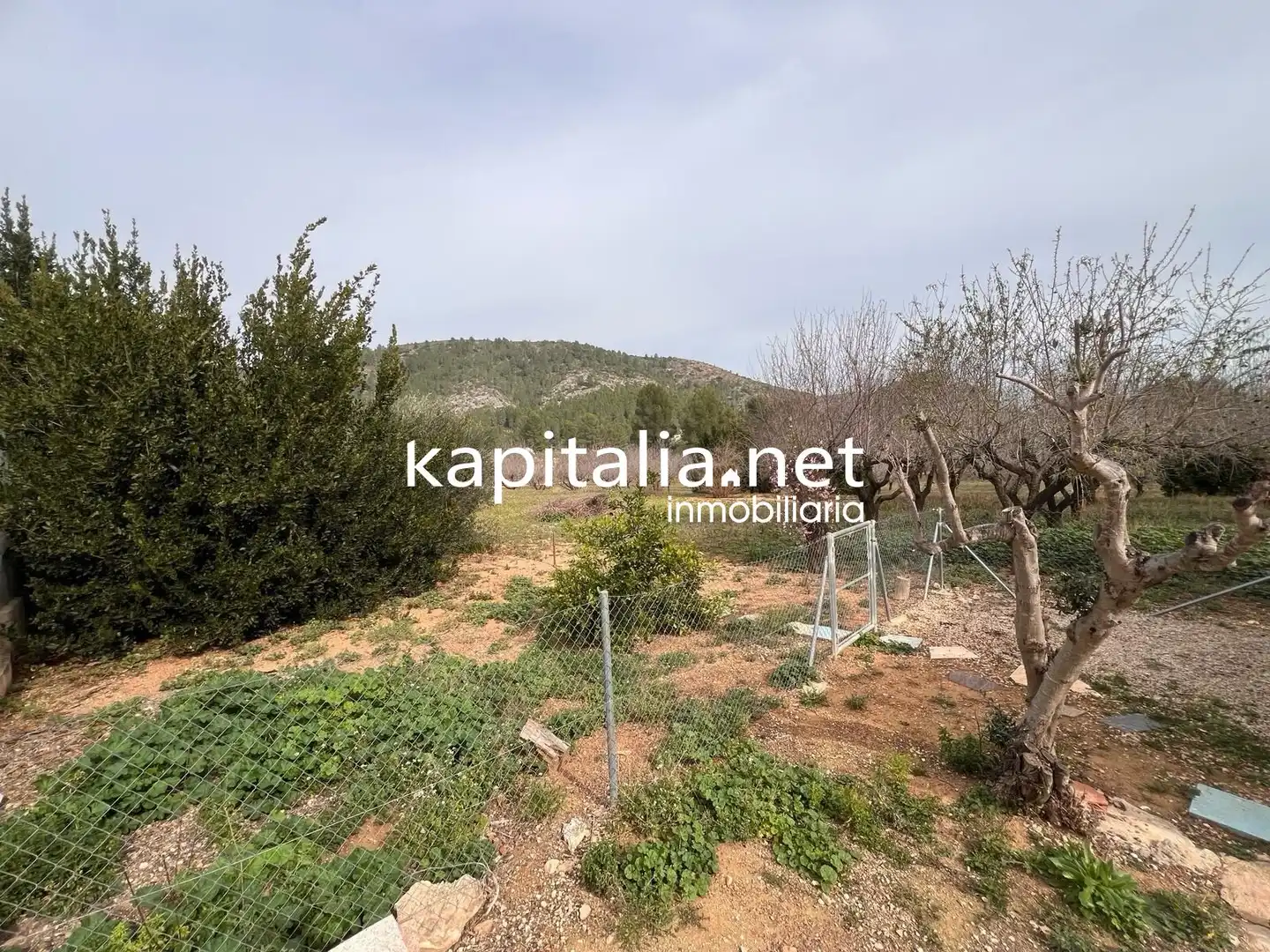 Xalet amb piscina en venda a L'Olleria, imagen 59