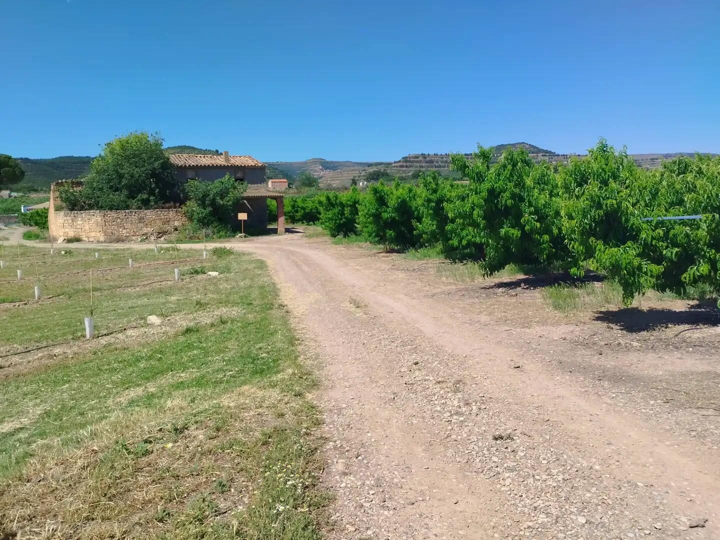 Terreni e lotti in vendita a Fraga