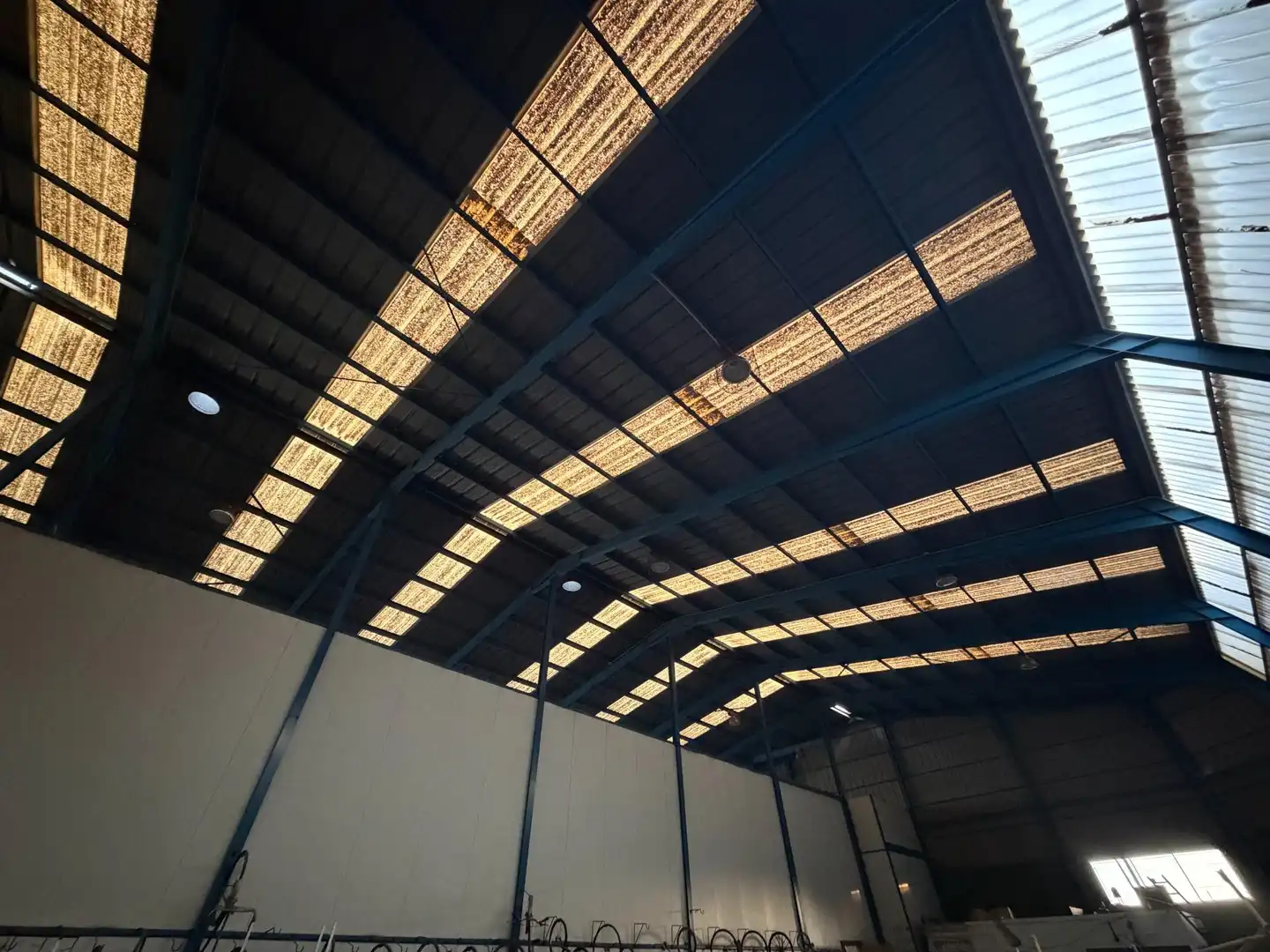 Exterior view of Industrial buildings for sale in San Vicente del Raspeig / Sant Vicent del Raspeig