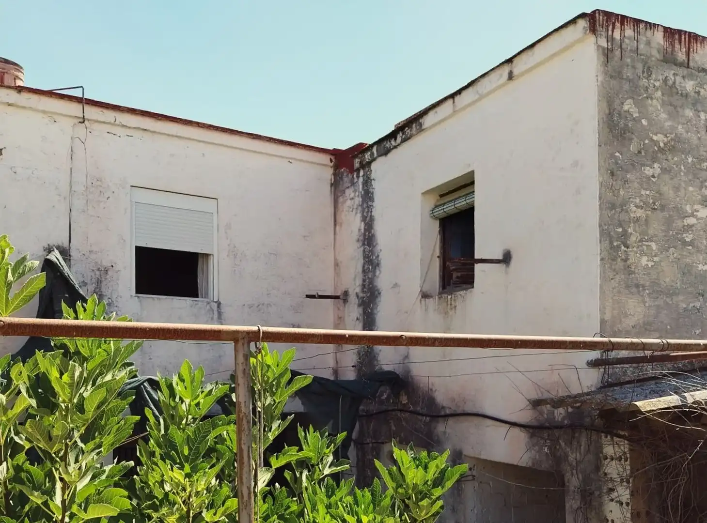 Vista exterior de Casa o chalet en venta en Carmona