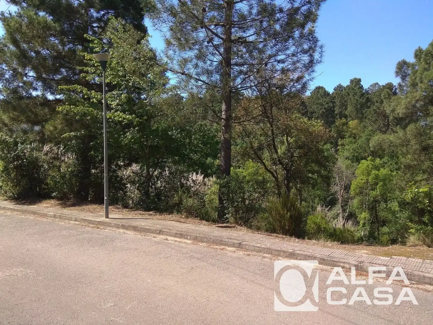 Terreno rústico en venta en LES SURERES, imagen 12
