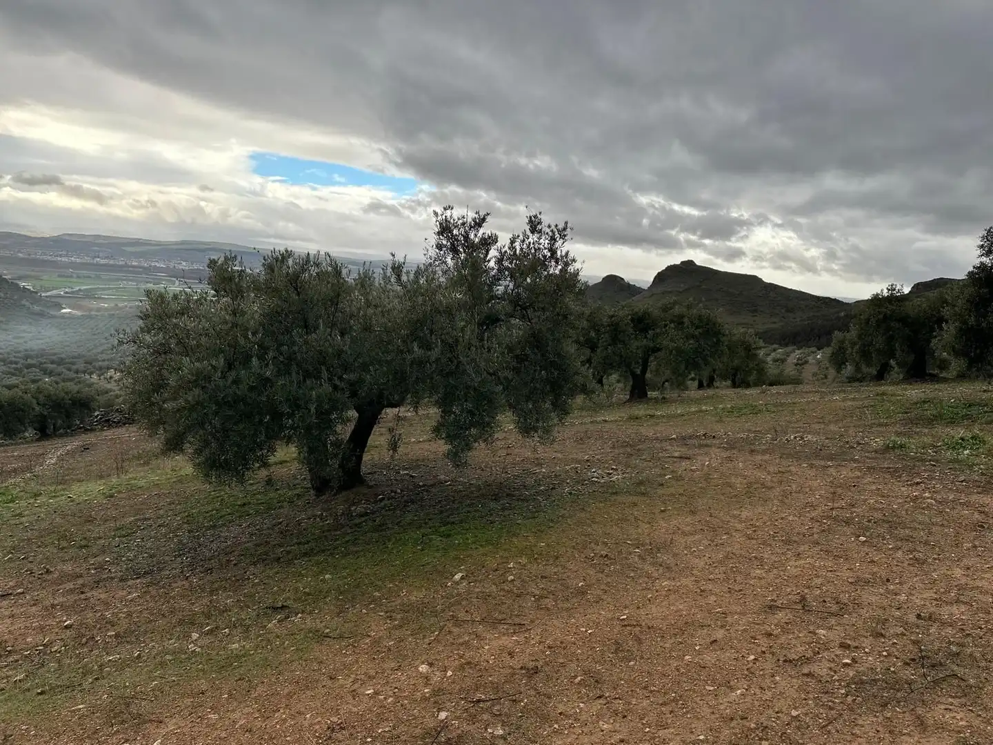 Terreni e lotti in vendita a Atarfe, imagen 2