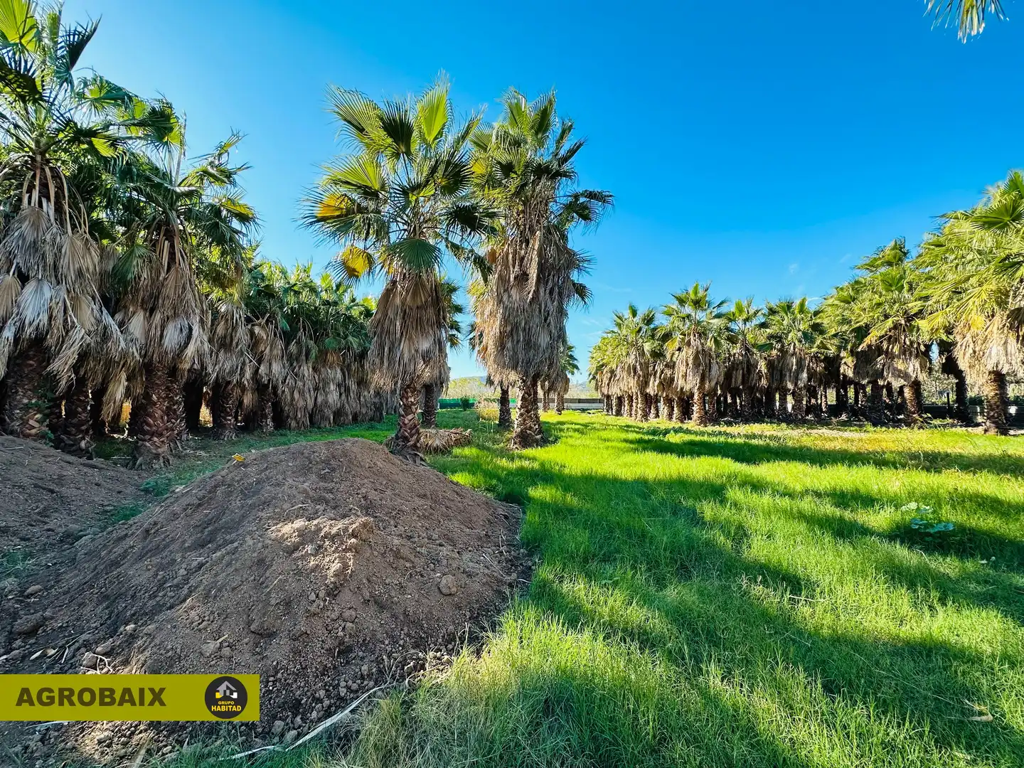 Terreno rustico in vendita a Eixample, imagen 18