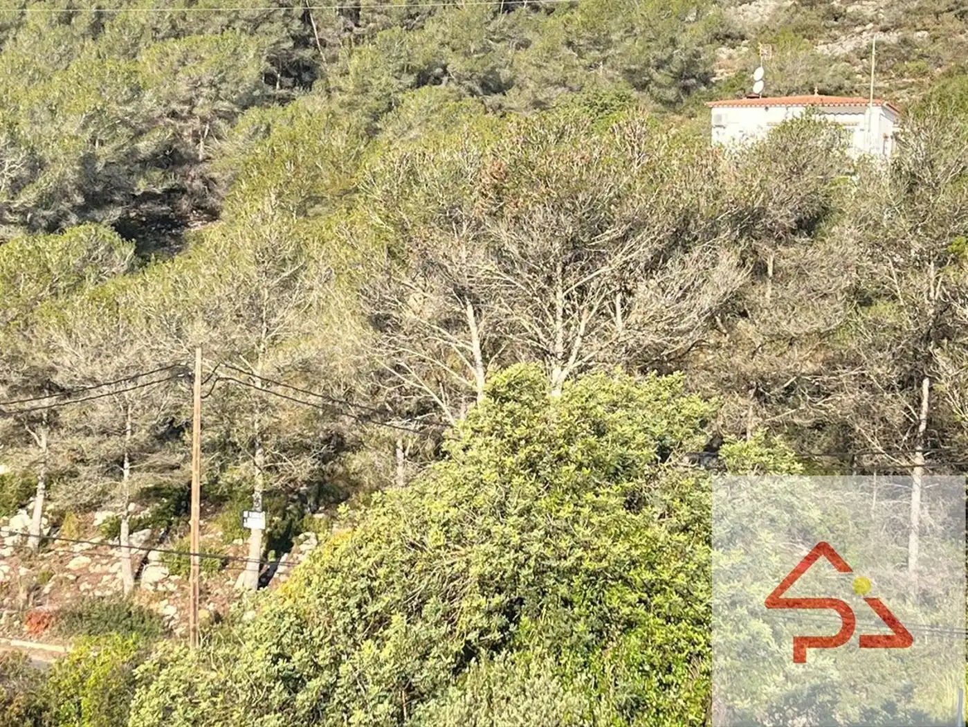 Terreno residenziale in vendita a Avinguda d'Olesa de Bonesvalls, imagen 6