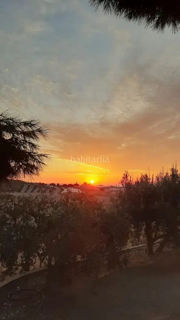 Terreny rústic en venda a Paraje Cuesta de Gos 6, imagen 12