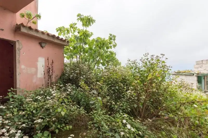 Casa o chalet en venta en Icod de los Vinos con Jardín privado