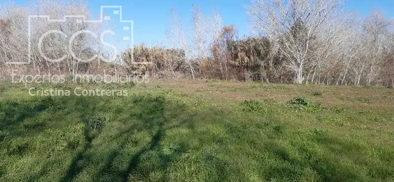 Terreni e lotti in vendita a Almonte ciudad, imagen 9
