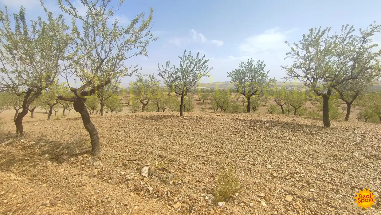 Residential land for sale in Vélez-Rubio, imagen 5