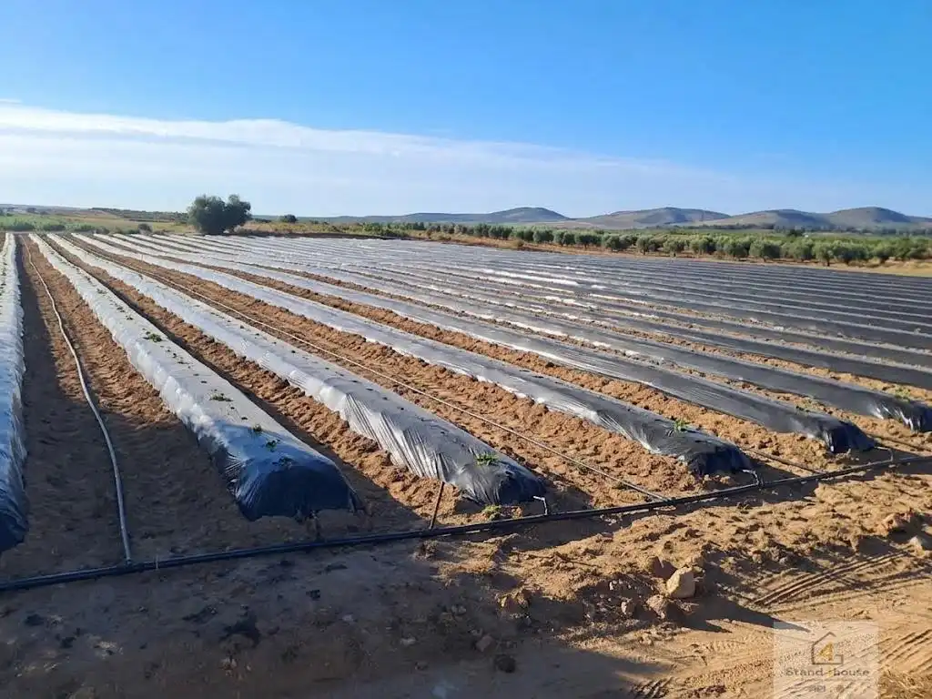 Terrenys i solars en venda a Bollullos Par del Condado