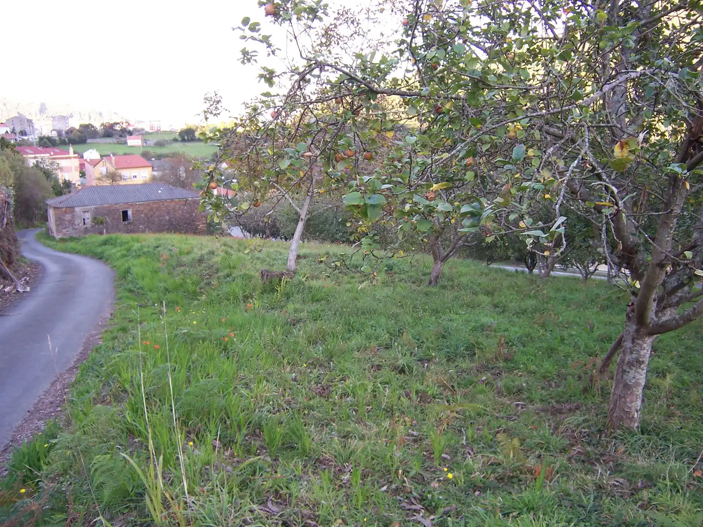 Casa amb jardí en venda a Lugar Ortigueira 2, imagen 3