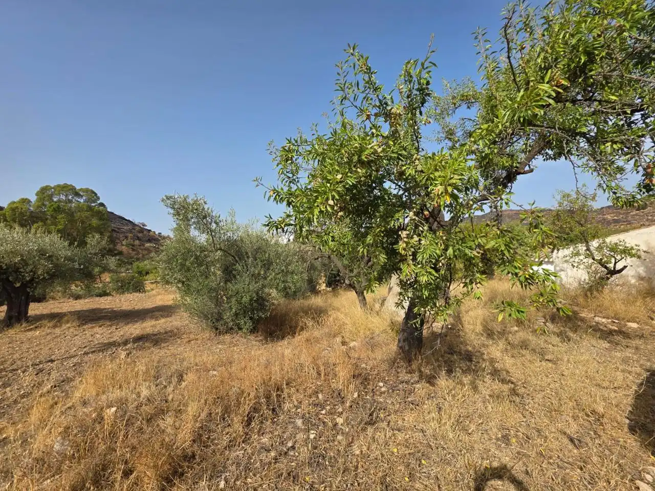 Finca rústica en venda en Bédar amb Jardí privat i Terrassa
