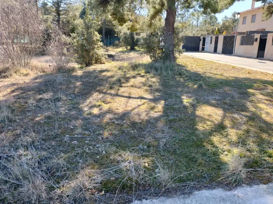 Terreni e lotti in vendita a LAGO 100 Suelo, imagen 5