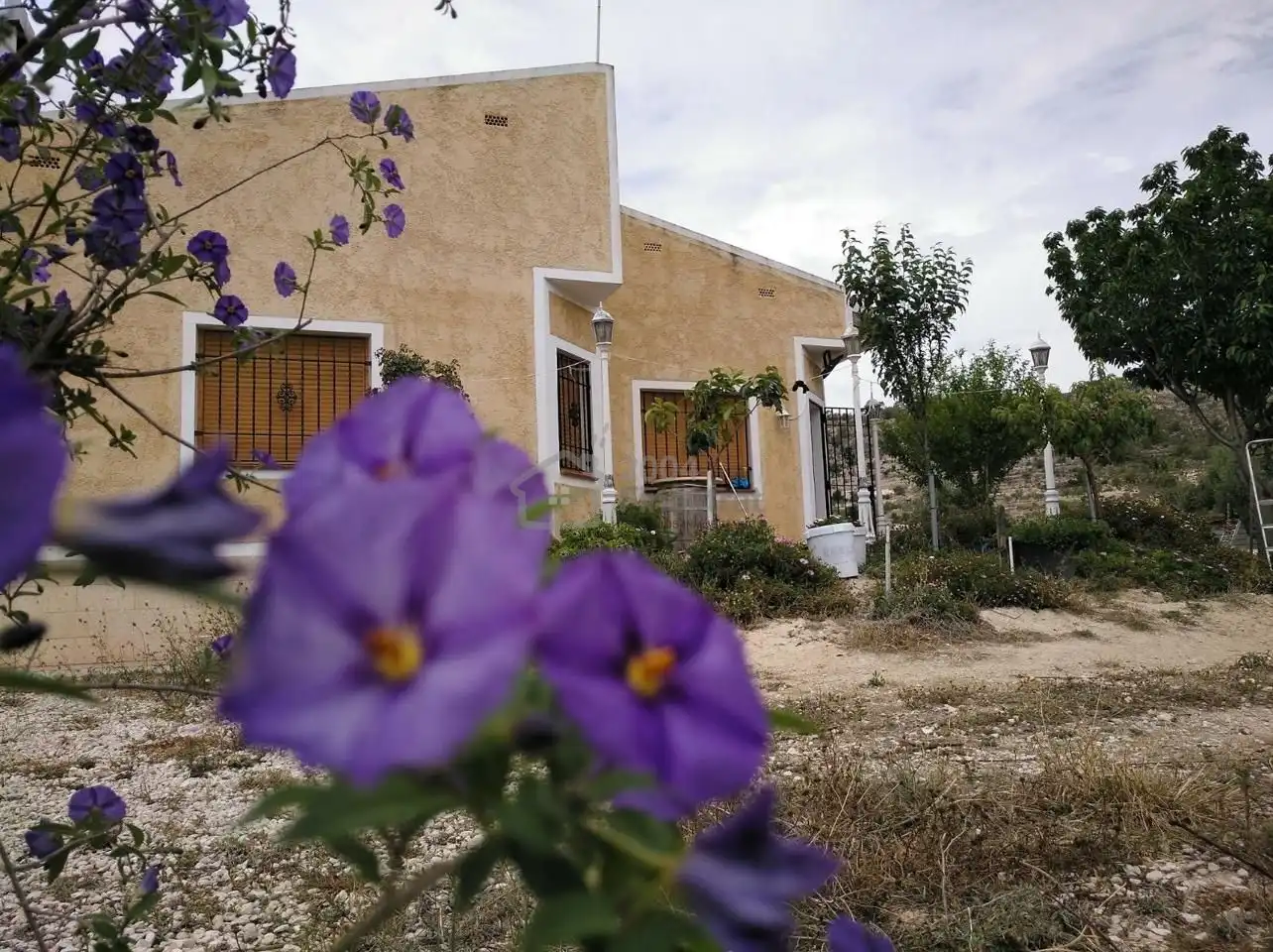 Casa con giardino in vendita a Partida les Macaroves, imagen 2