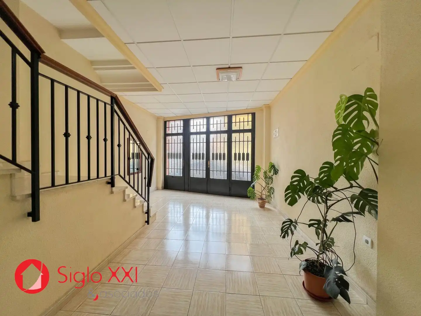 House with terrace for sale in El Pilar, imagen 2