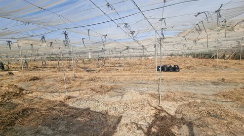 FINCA PARA CULTIVO AGRICOLA ALHABIA, ALMERIA, immagine 5