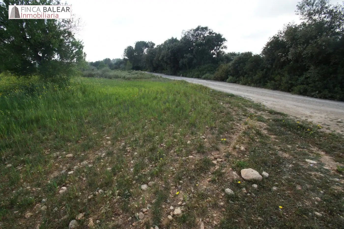 Terreno rustico in vendita a Algaida, imagen 2