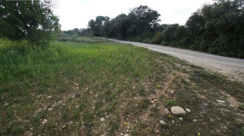 FINCA RUSTICA UBICADA EN ALGAIDA CON PROYECTO Y LICENCIA CADUCADA PARA EDIFICAR UNA VIVIENDA EN PL, immagine 2