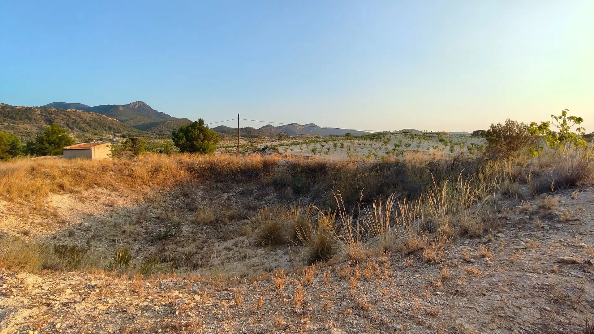 Terreno rustico in vendita a Jumilla, imagen 5