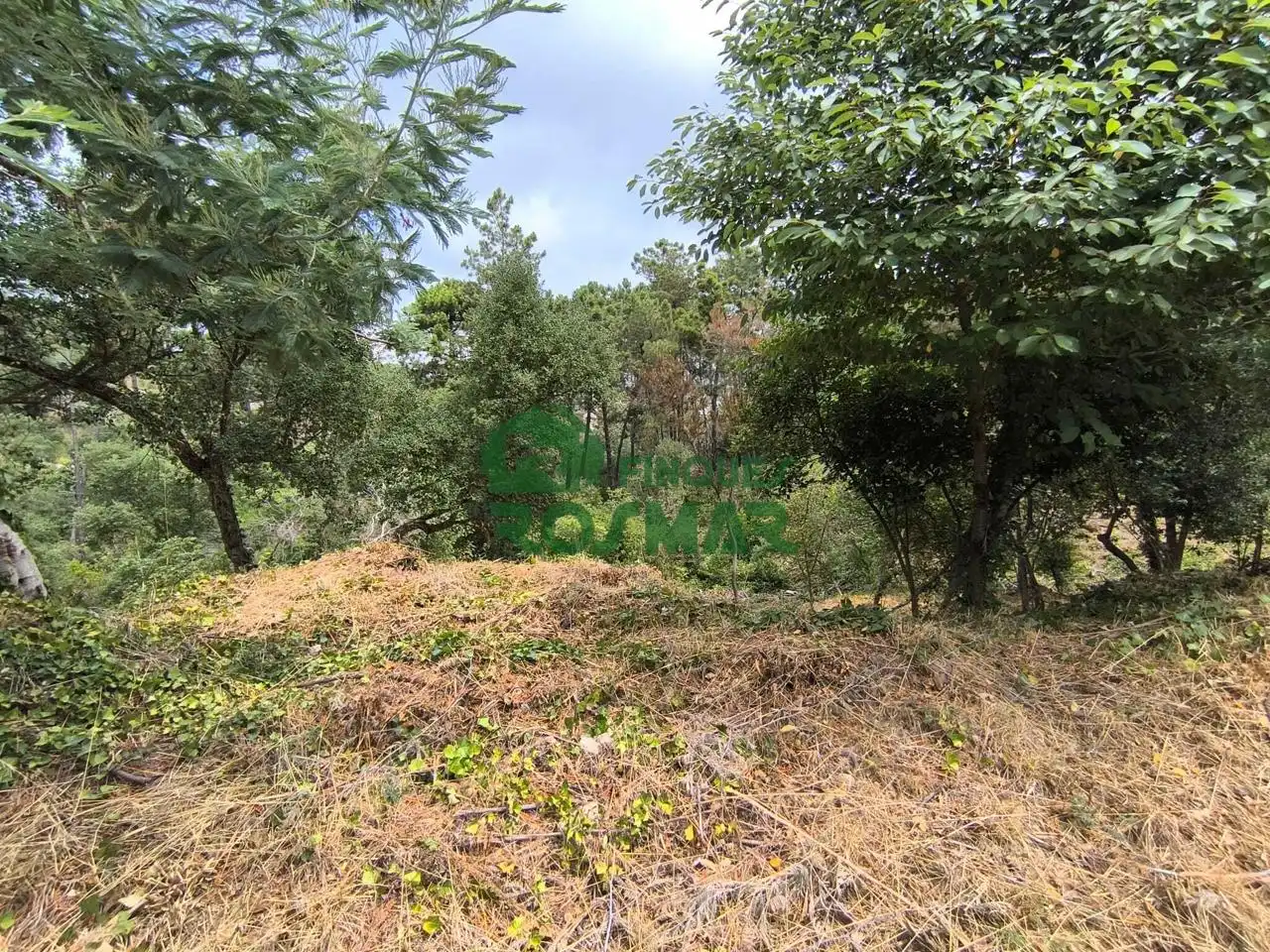 Terrenos y solares en venta en Lloret Blau - La Creu de Lloret, imagen 3